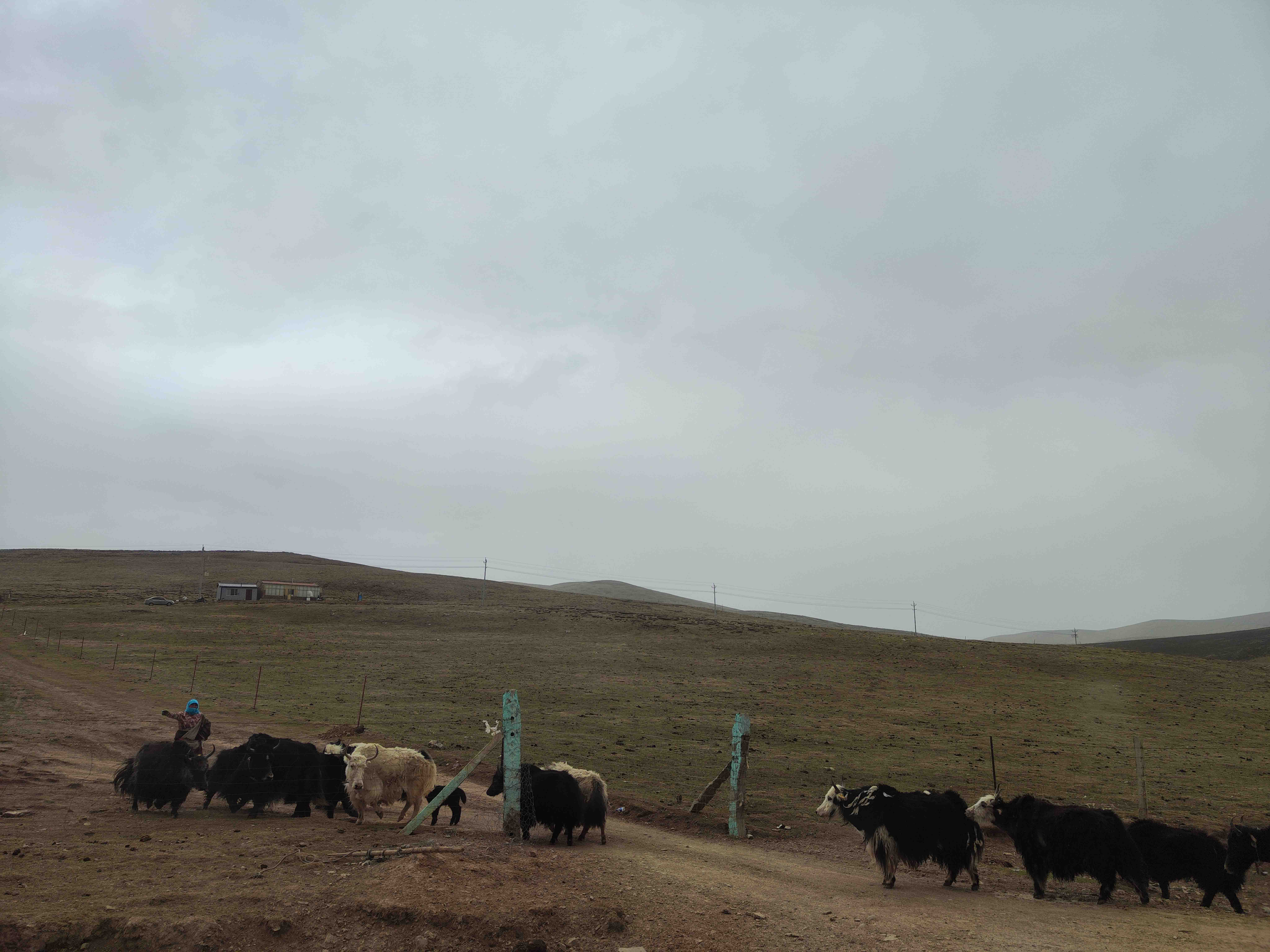 1685586364293401.jpg 草原.jpg